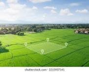 Asset management image